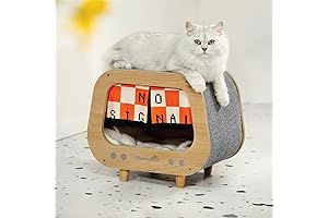MEWOOFUN Modern Enclosed TV Cat House