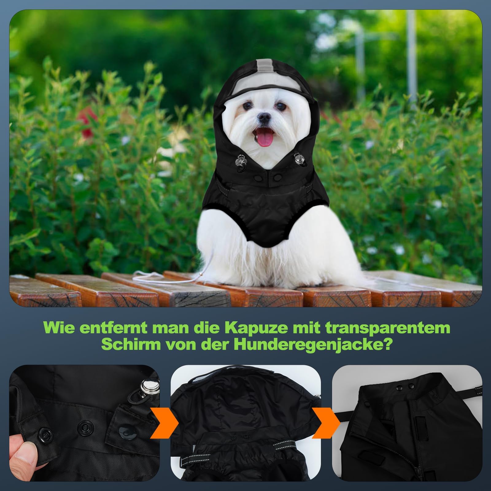 Chubasquero para perro