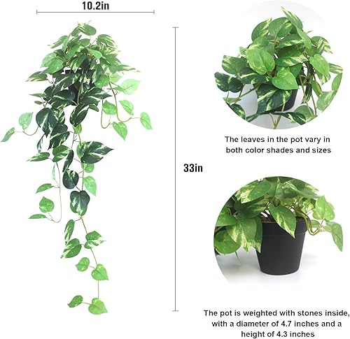 Miniatura 3 de alyptus Plantas colgantes Pothos falsas, juego de 2 enredaderas de hiedra artificial de seda con macetas, vegetación sintética realista para