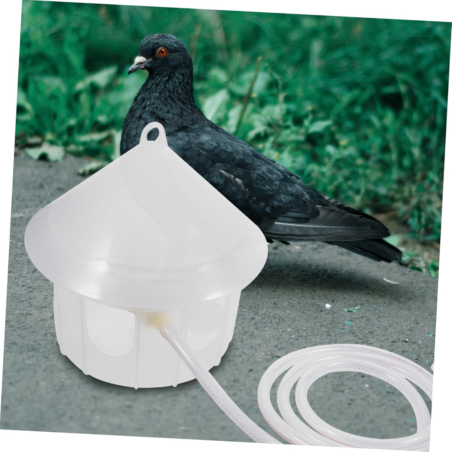 Healifty Automatic Plastic Bird Water Dispenser for Pigeons and Quail Portable Poultry Water Feeding Device with Smooth Surface Easy to Clean Container for Outdoor Bird Cages