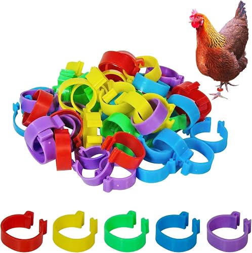 DESKEMAI Chicken Leg Bands 50 Pack 20mm Multicolor Poultry ID Tags for Chickens, Ducks, Geese & Bantams DESKEMAI Chicken Leg Bands 50 Pack 20mm Multicolor Poultry ID Tags for Chickens, Ducks, Geese & Bantams