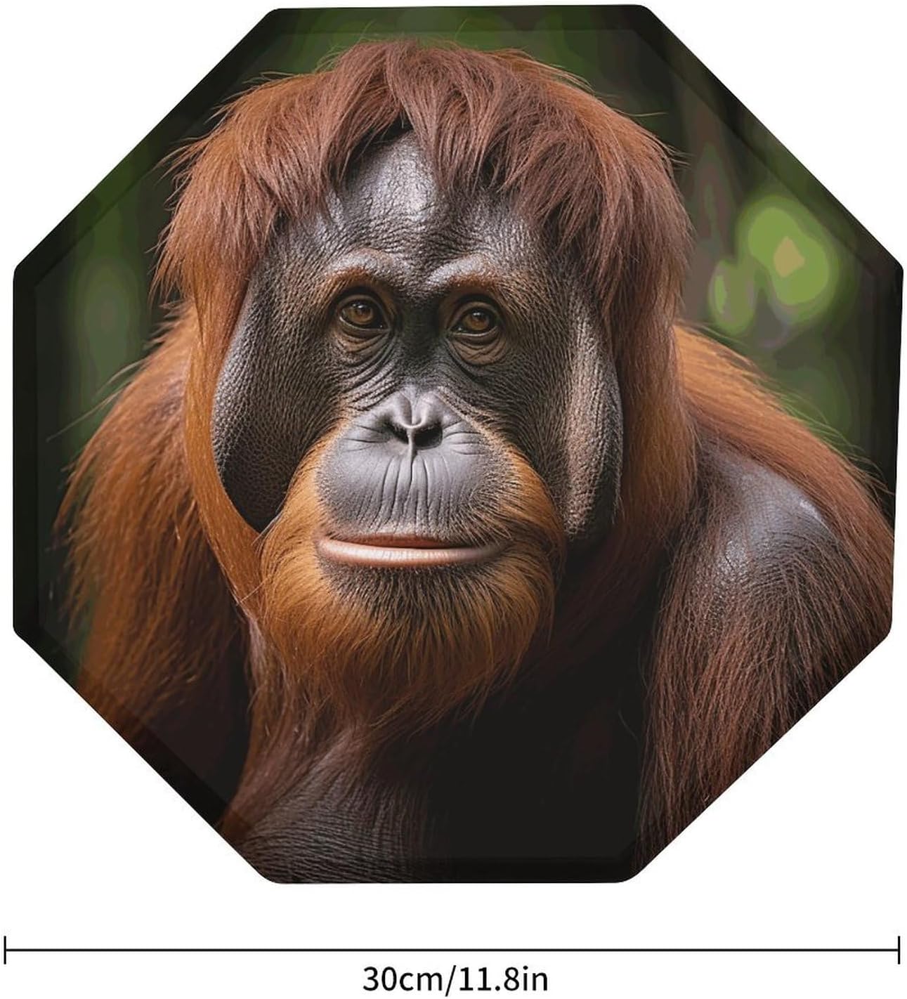 Ctagon Metal Sign for Home, Modern Display Plate for Kitchen, Orangutan Taking Photo Plates Accent Hanging Wall Decorations 3PCS for Living Room, Bedroom, Hallway, Hotel
