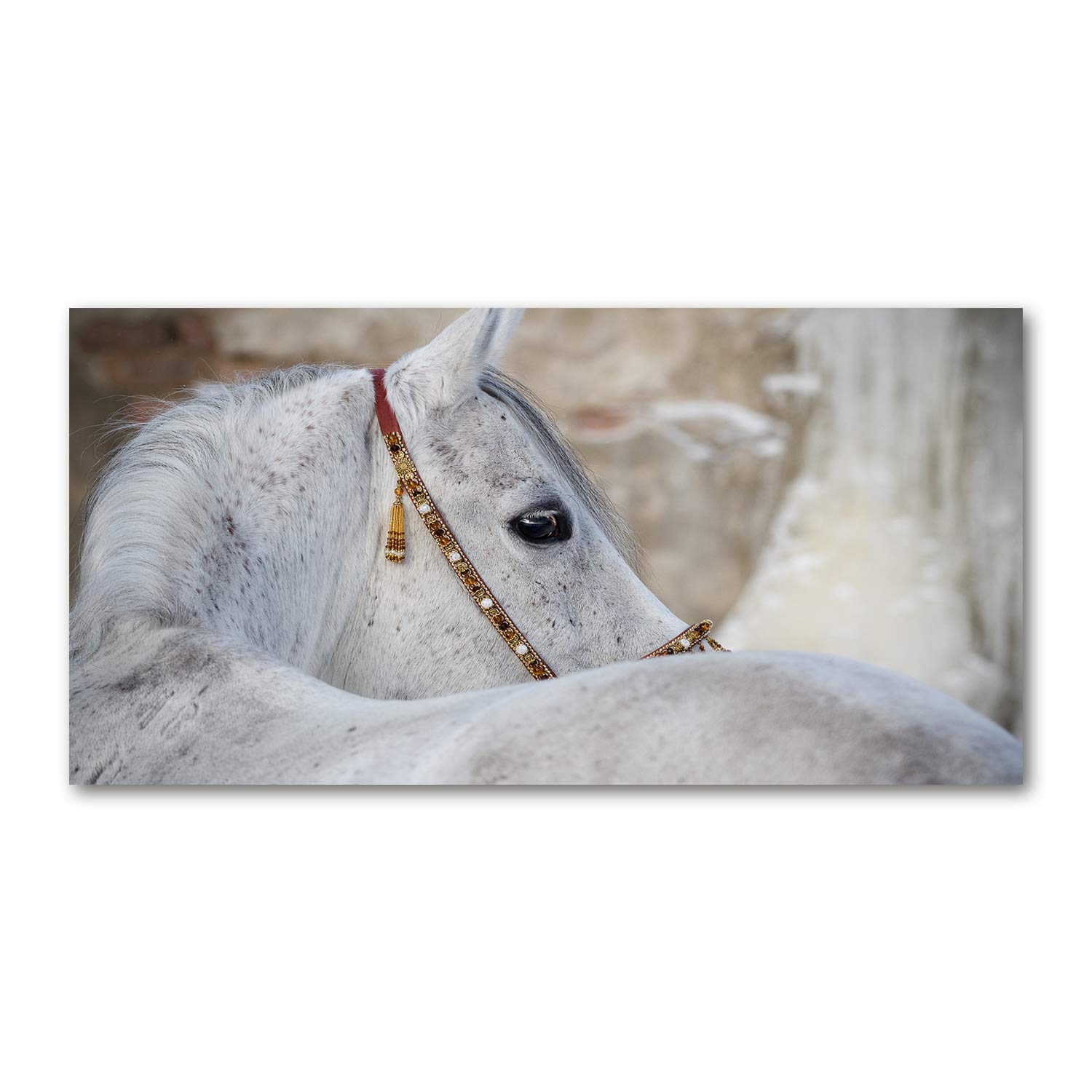 Image verre plastique animaux cheval blanc pour sublimer votre salon