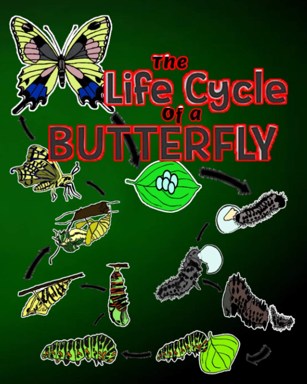 The life cycle of a butterfly: Kids Activity Book. Life and Earth Sciences. Read, Lear, Color...