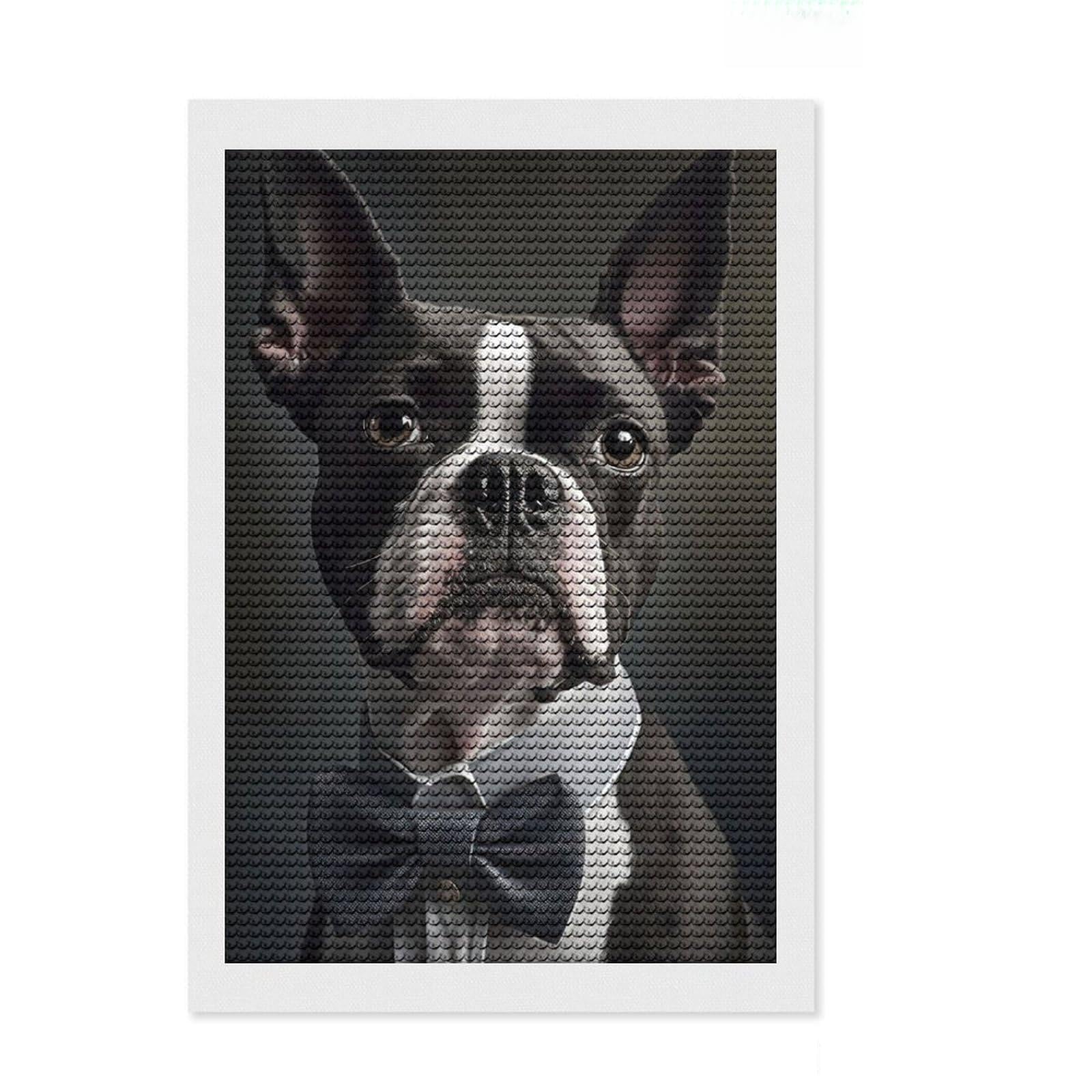 Junmoney Boston Terrier Dog Diamond Art Kit 8"x12", Easy to Follow Symbols, Mindful Craft Activity, Bedroom Decor, Christmas Gift