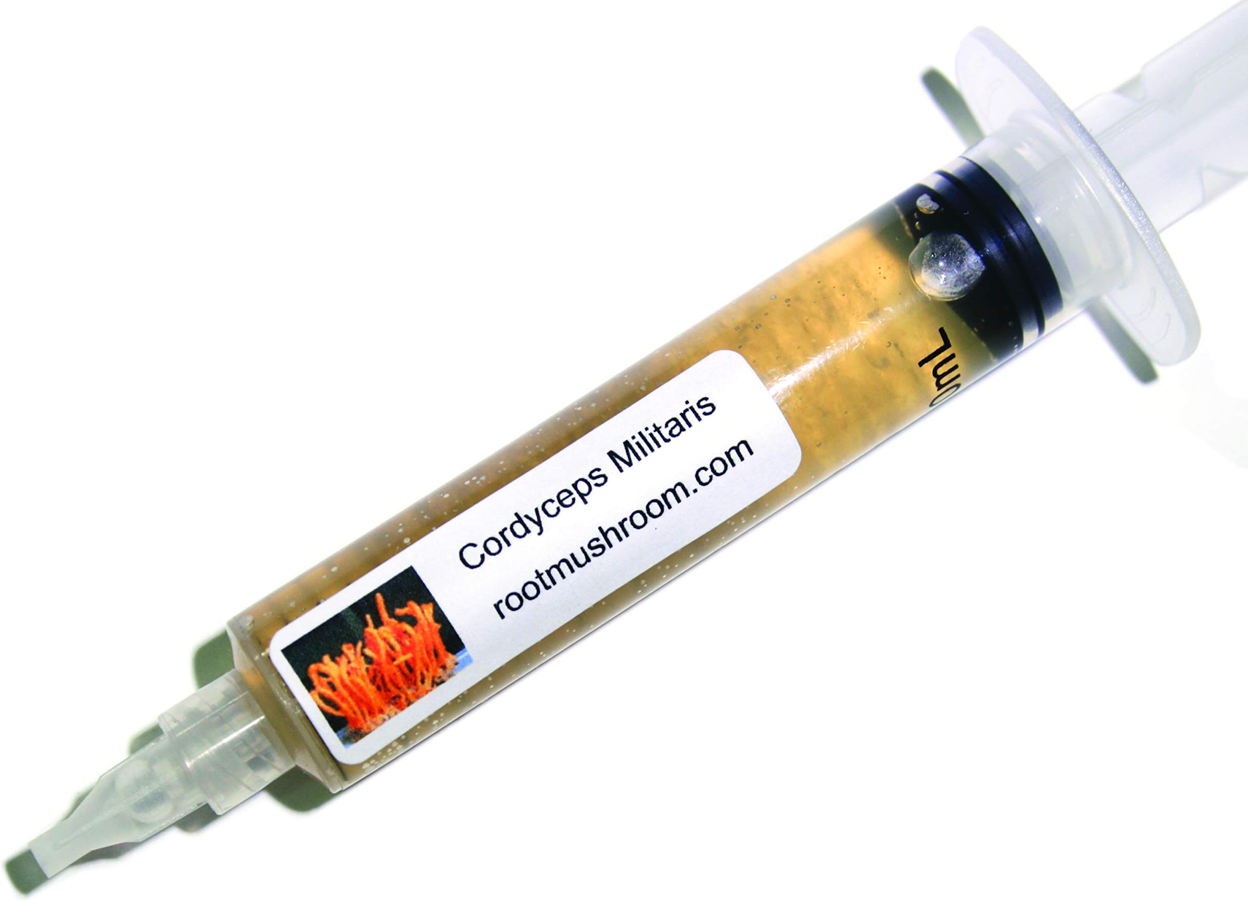Root Mushroom Farm- Mushroom Liquid Cultures /10ml Syringe/Cordyceps Militaris