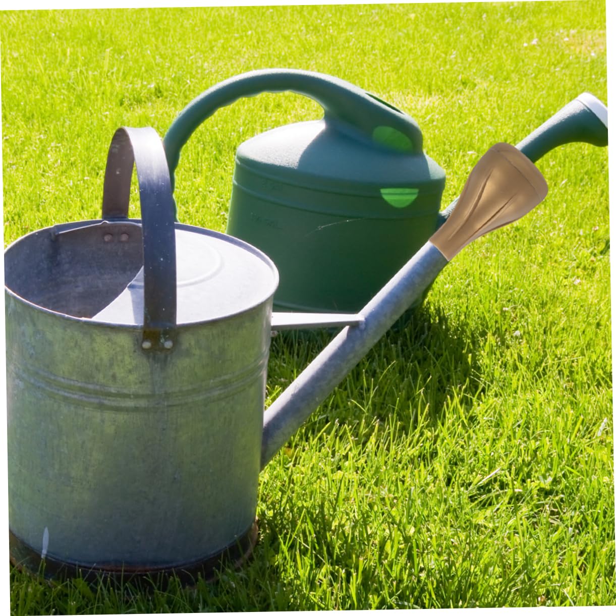 Toddmomy 15stücke Gießkanne Sprinklerkopf Bonsai Bewässerung Wasserverteilung Langlebiges Design Für Pflanzenpflege Goldene Farbe Einfache Handhabung
