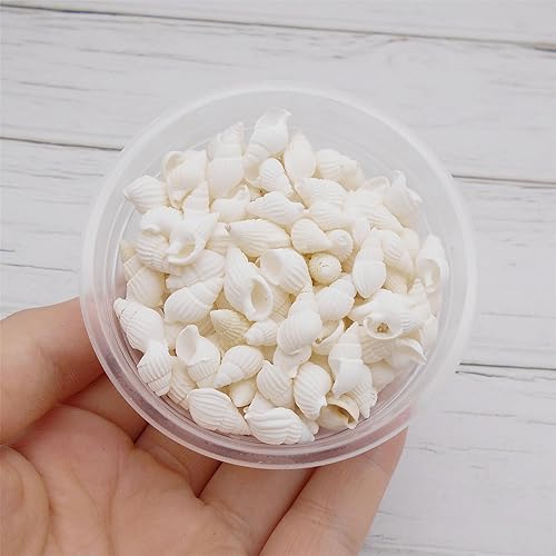 Miniatura 5 de Cerca de 250 piezas de conchas blancas en espiral de playa naturales de concha marina para manualidades, mini caracola, concha de mar para hacer