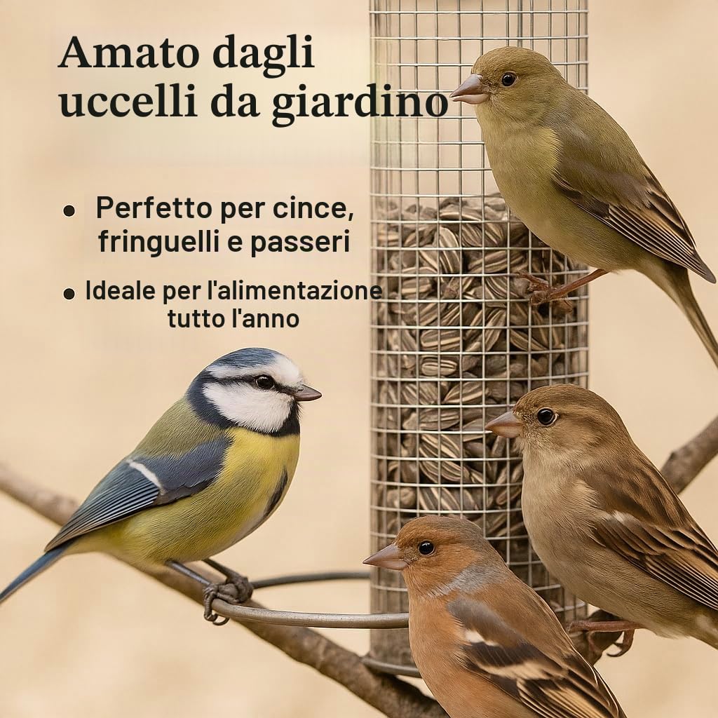 GiDeli Semi Di Girasole A Righe, 25 Kg, Mangime Per Uccelli Selvatici E Domestici, Per Tutto L'Anno, Invernale, Per Cinciette, Fringuelli, Passeri, Ricchi Di Olio