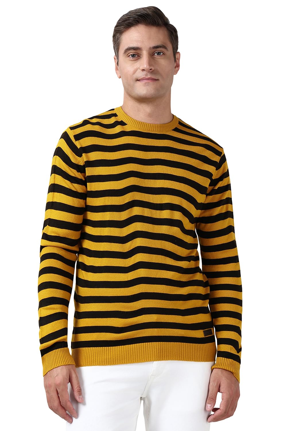 peter england Men Sweater-picture-37