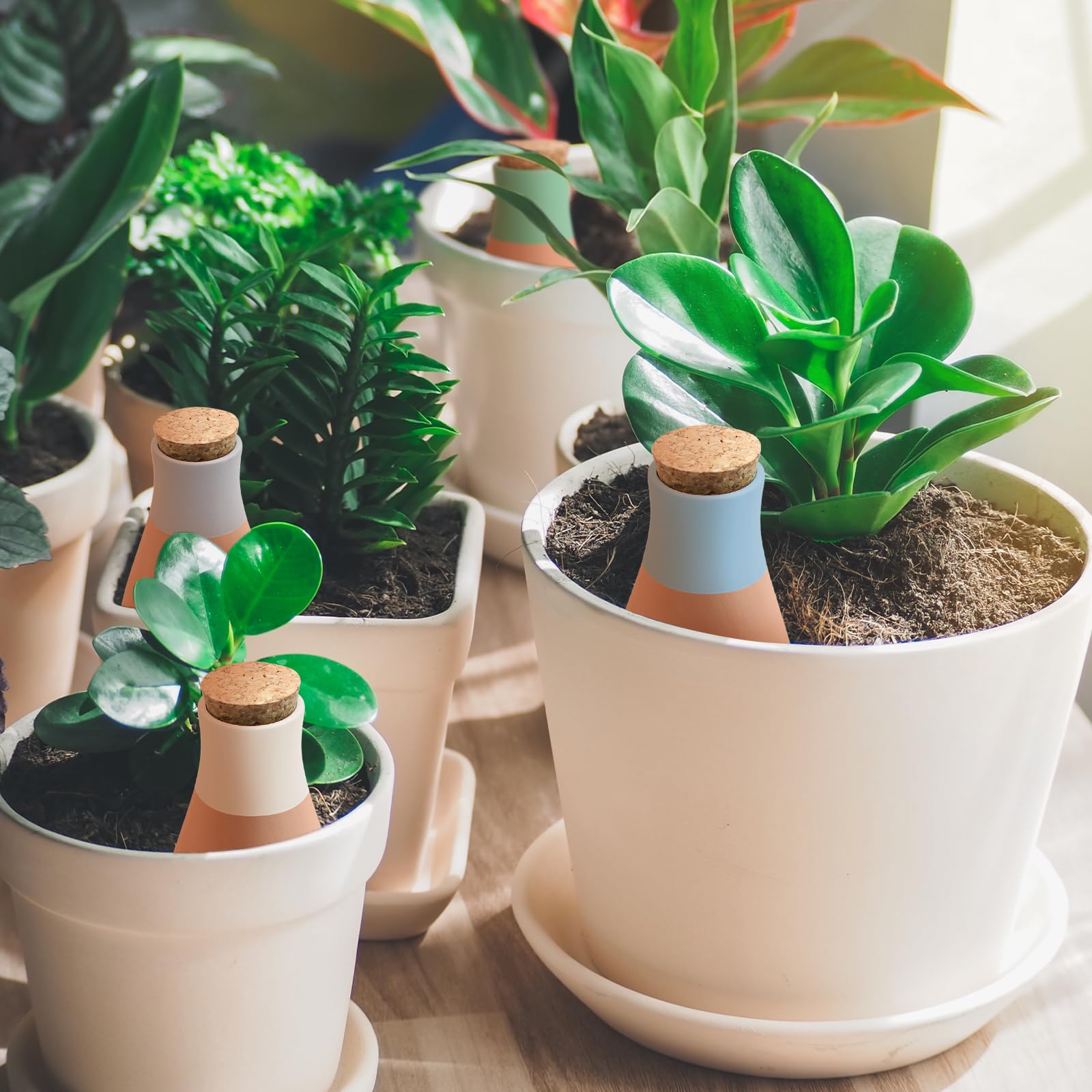 Amazon.com: 4PCS Terracotta Watering Spikes, Ollas Self Watering