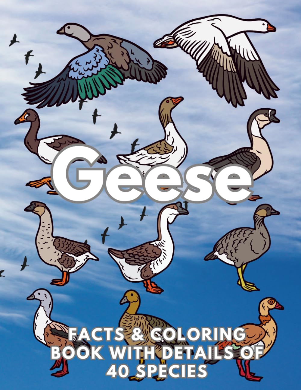 Geese: Facts & Coloring Book: Activity Book for Children Aged 2 to 16 Years (Animal Facts and Coloring)
