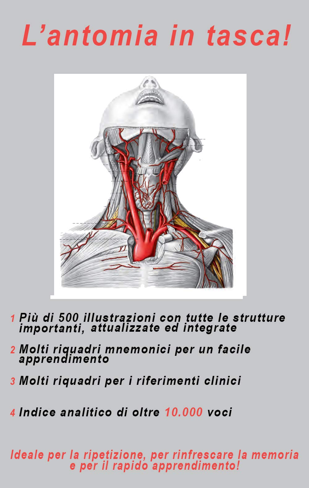 Tascabile di anatomia con note di clinica 2ª Ed