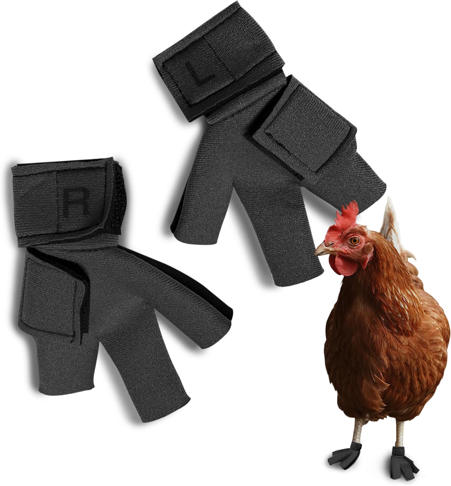 Birdy Bootie Chicken Shoes for Injured Feet – Protective Neoprene Footwear for Chicken, Open-Toe Design for Bumblefoot Relief, Made in USA - Standard, 3" Max. Inside Width, Gray