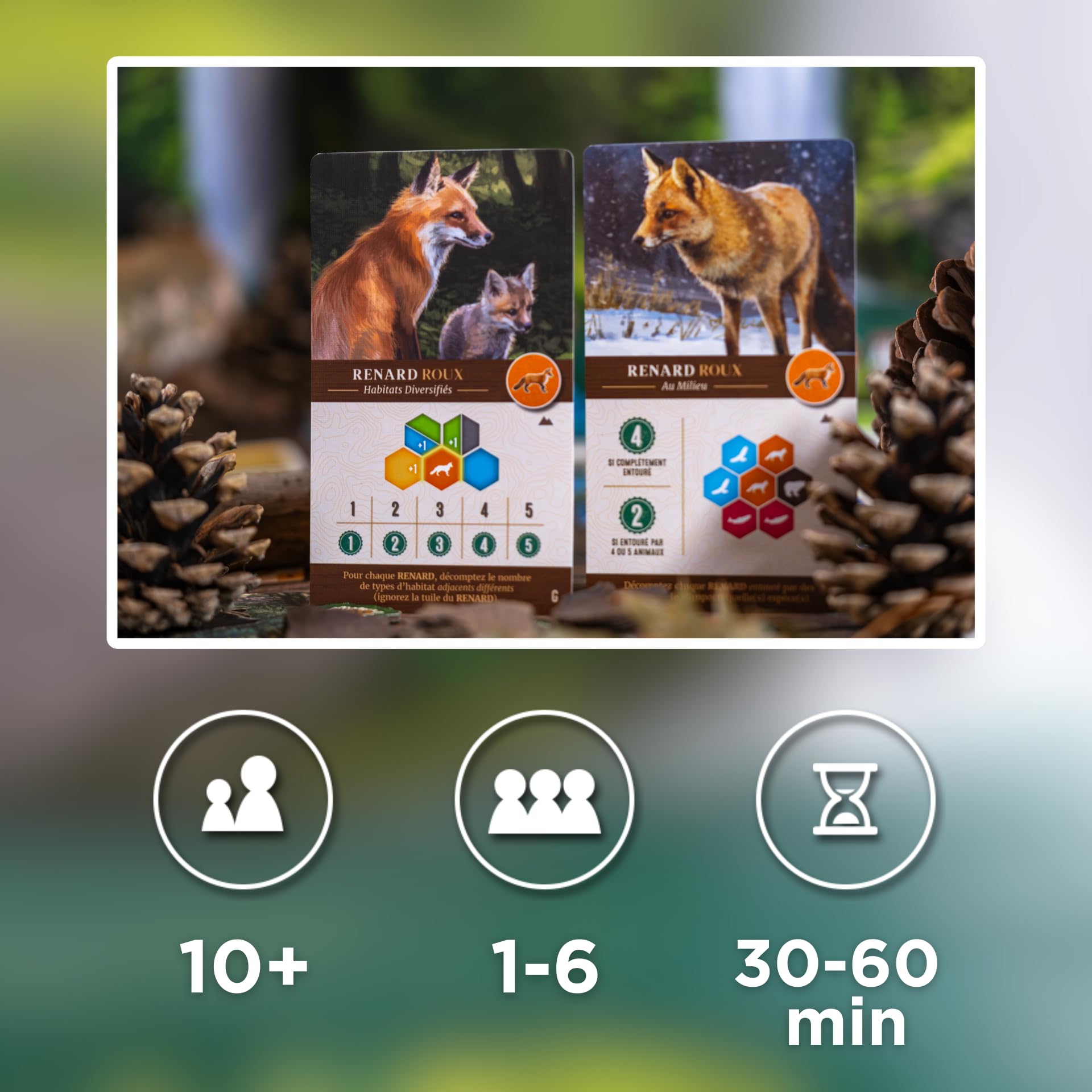 Lucky Duck Games | CASCADIA Paysages | Extension Jeu de Société | Jeu de Stratégie pour Enfants dès 10 Ans | Nouvelles Cartes Décomptes & Tuiles Habitat | 1 à 6 Joueurs | 30 à 45 min | En Français | Nouvelles cartes de décompte et tuiles habitat inédites