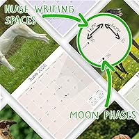 Vista 1216 de Razas de Perros 2017