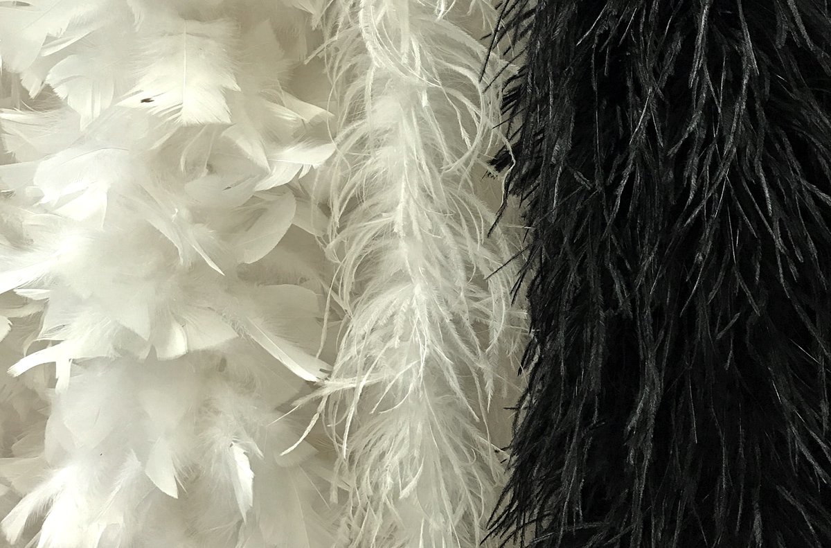 2 Yards - White Heavy Weight Turkey Flat Feather Boa, 150 Gram Halloween Burlesque Wedding Carnival Supplier | Moonlight Feather