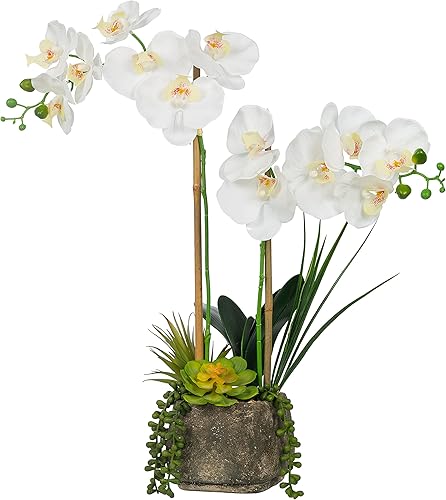 Miniatura 2 de Vanity Art Orquídeas artificiales Phalaenopsis de 23.23 pulgadas con arreglo floral de suculentas en maceta, 2 tallos de flores artificiales de
