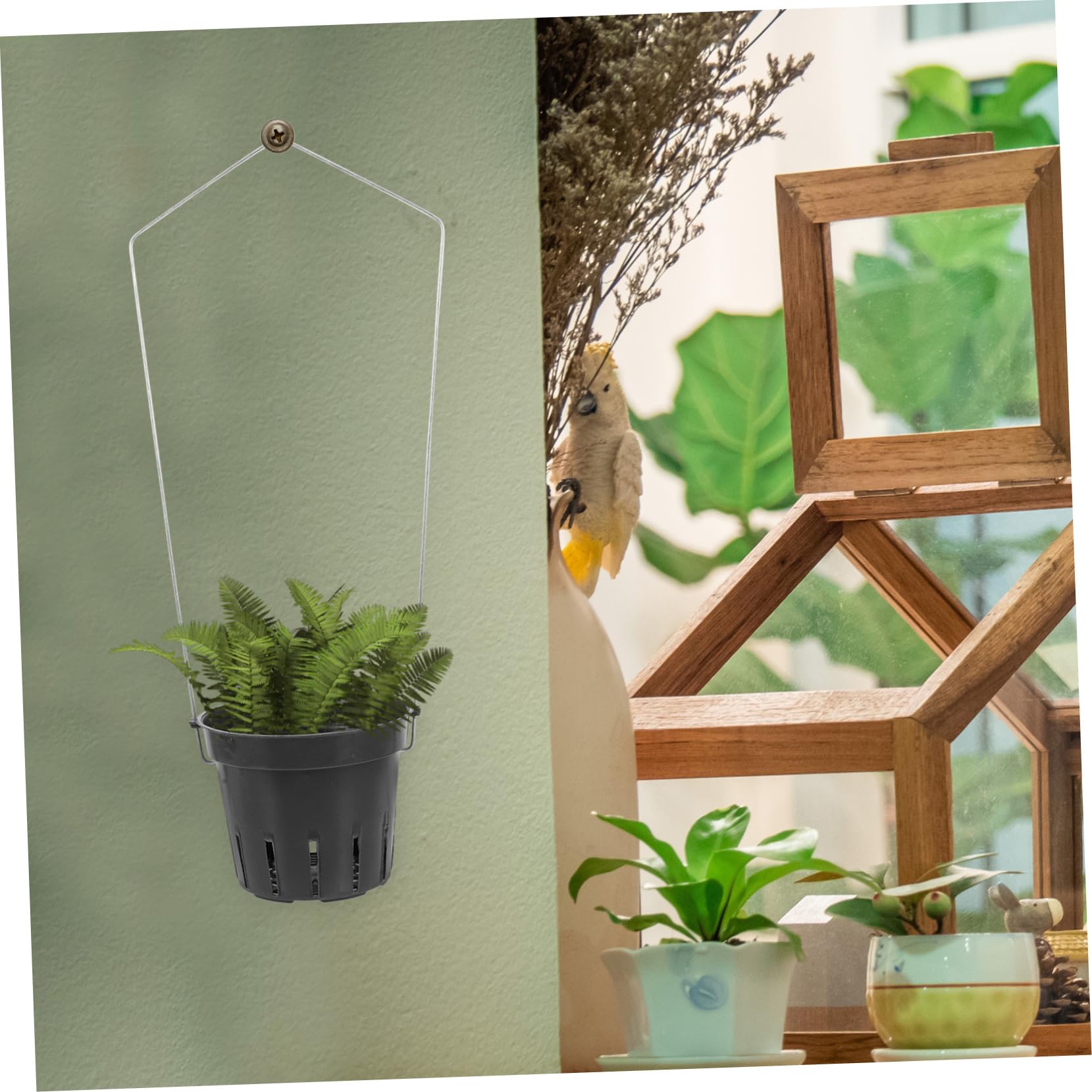 Amazon.co.jp: Kisangel 6個 胡蝶蘭の植木鉢 吊り下げ苗ポット 壁掛け