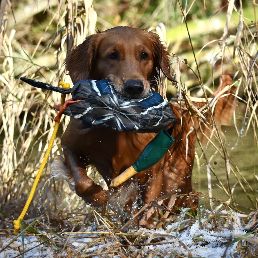 Sporting Saint Dead Bird Entendummy Pro – Realistic Apportierdummy Anatra, ca. 700 g, galleggiante, con ali e corda da lancio, per allenamento fittizio e cani da caccia