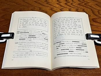 Amazon.co.jp: 『ポルノで英語がスイスイ学べる 基本淫文700選