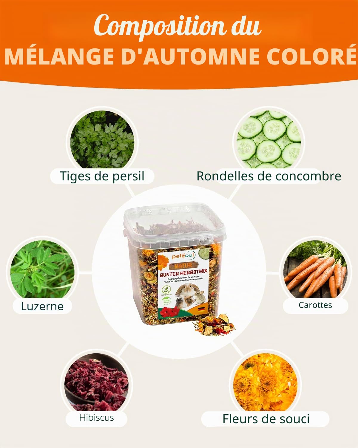 petifool Aliments complémentaires pour rongeurs Mélange d'automne coloré - Nourriture Naturelle et Saine pour Lapins - 650 g