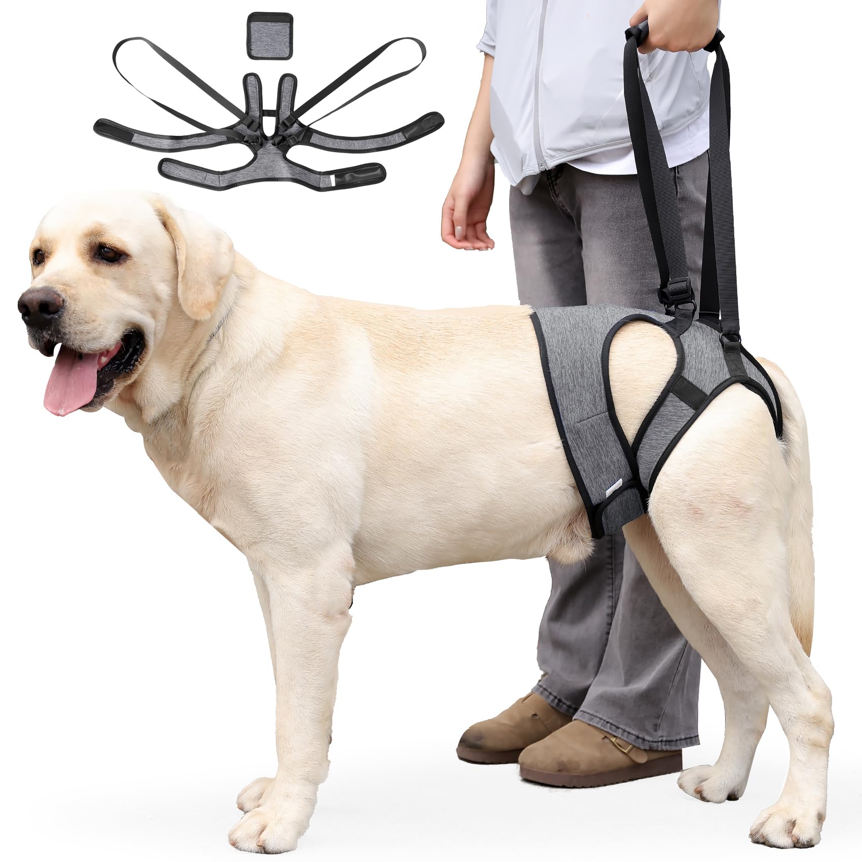THKWOO Dog Lifting Harness for Back Legs Adjustable Dog Support Sling Anti-shedding Breathable Rear Leg Assist Harness for Elderly Dogs, Post-Operative Recovery, Arthritis/Disabled Pets (Grey XL)