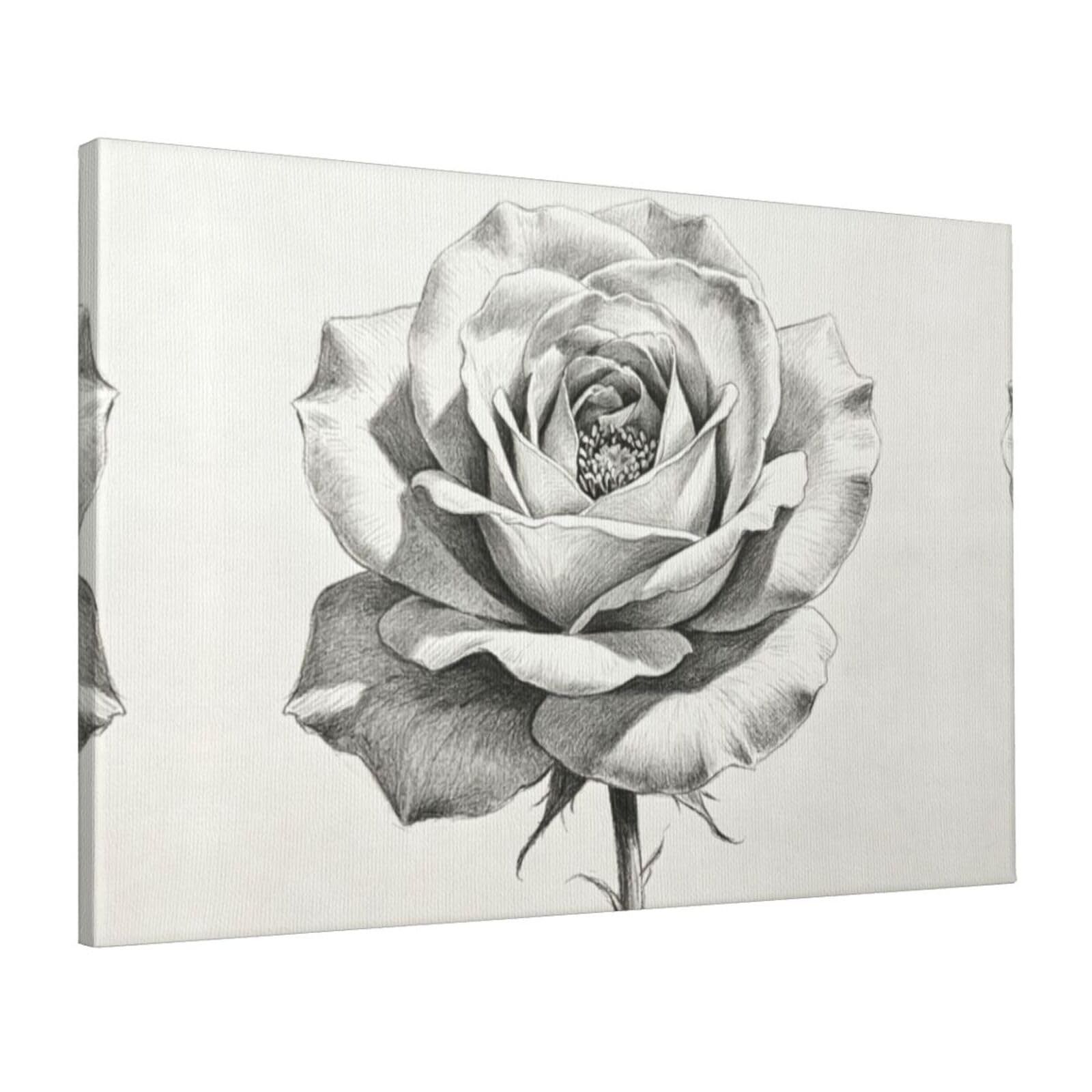 CNTDBU Sketch Rose Art Canvas Wall Art 16x24 Inch-Large Modern Painting Print for Living Room, Framed Ready to Hang Artwork for Bedroom