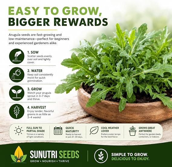 Arugula Seeds for Planting Non-GMO Rocket Salad Greens, Fast Growing Leafy Green Vegetable Seeds for Home Garden, Raised Beds, Containers, Indoor or Outdoor Growing