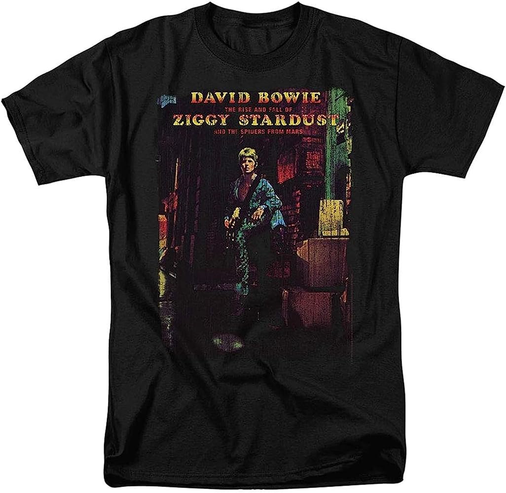 DAVID BOWIE デヴィッドボウイ Tee M メキシコ製 DAVID BOWIE デヴィッドボウイ Tee M メキシコ製 - メルカリ