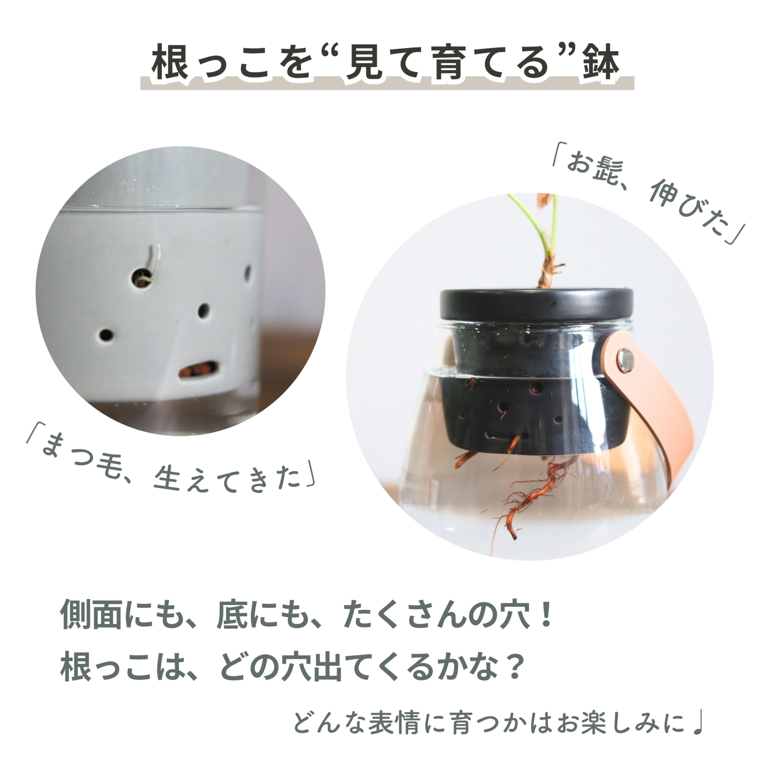 Amazon.co.jp: 根っこさん+つつ型 (ホワイト, Mサイズ) : DIY・工具