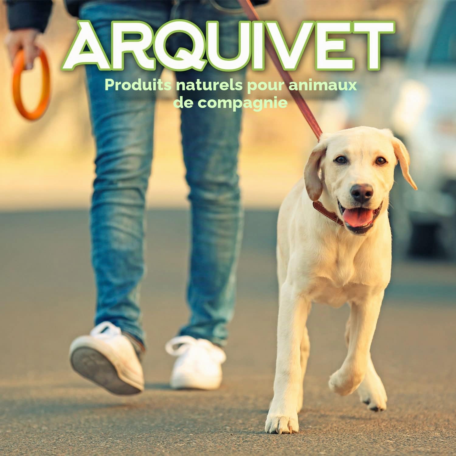 Arquivet Corne de Buffle Farcie au Foie de Buffle - 8 cm - Boîte Présentoir de 20 Pièces - 2.000 g - Friandise Naturelle pour Chien