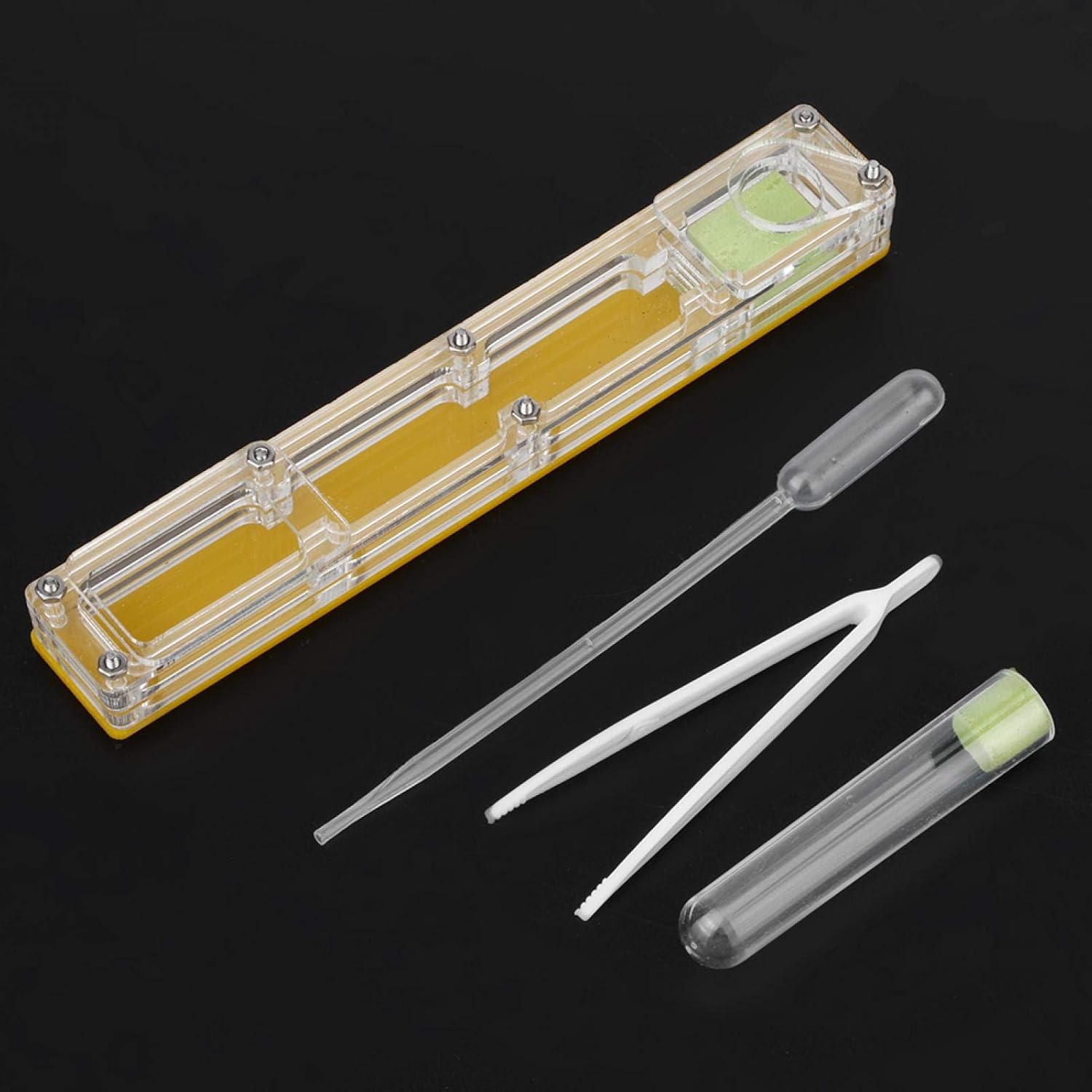 SALUTUYA Ant Formicarium Display Ornamental Box with Water Tower Easy to Install Ant