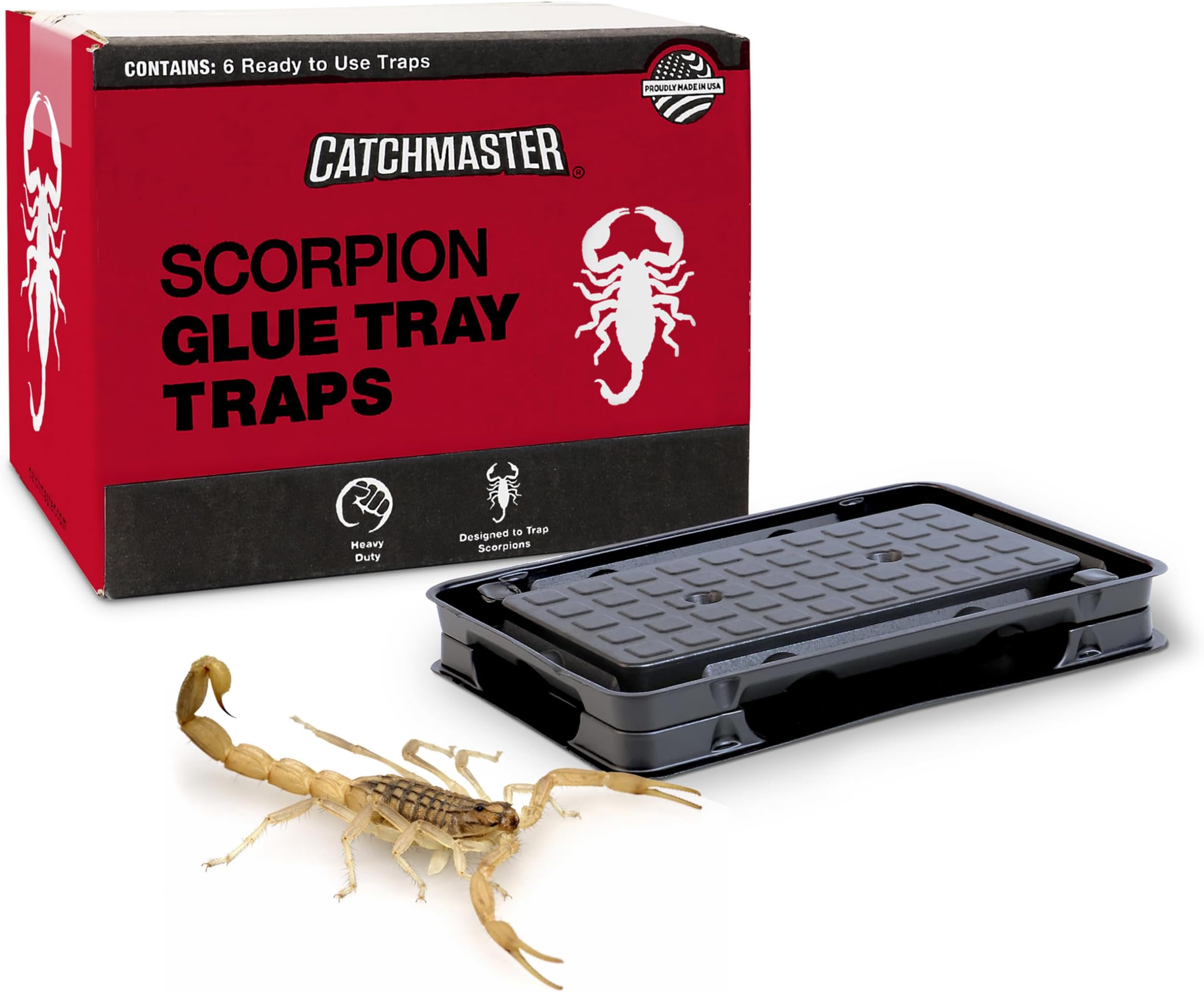 Catchmaster Scorpion Glue Tray Traps 6-Pack, Adhesive Scorpion Killer for Home, Simple Insect Traps Indoor, Sticky Bug Catcher for Kitchen, Garage, & Basement, Pest Control Glue Trap