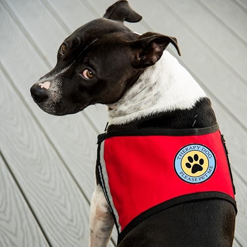 Miniatura 5 de Therapy Dog - Parche cosido con estampado de patas, para terapia de perro o arnés