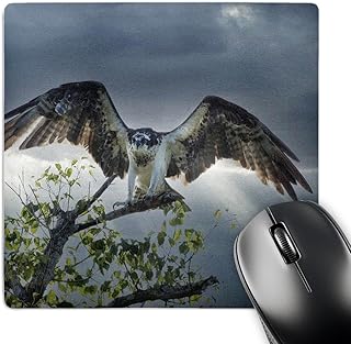 3dRose Brazil, Pantanal. Osprey Taking Flight from Tree. - Mouse Pads (mp-367203-1)