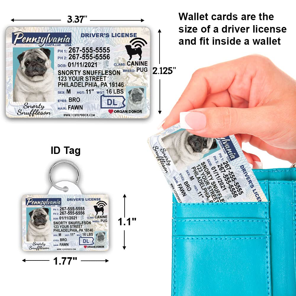 Are Dog Licenses Available In Pennsylvania