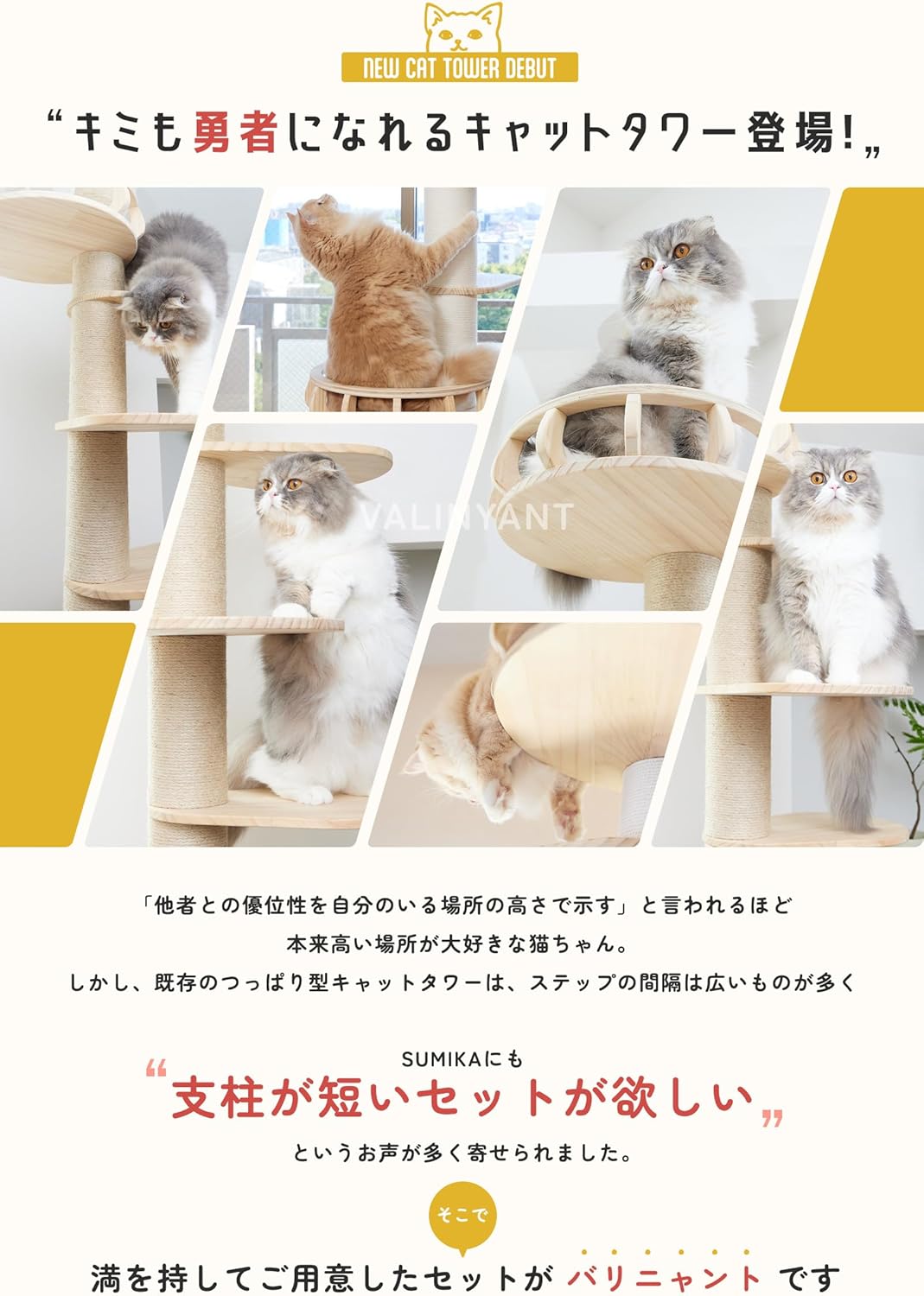 新城幸也サイン入り サイクルジャージ ビブパンツ 上下セット サイズM 新城幸也サイン入り サイクルジャージ ビブパンツ 上下セット