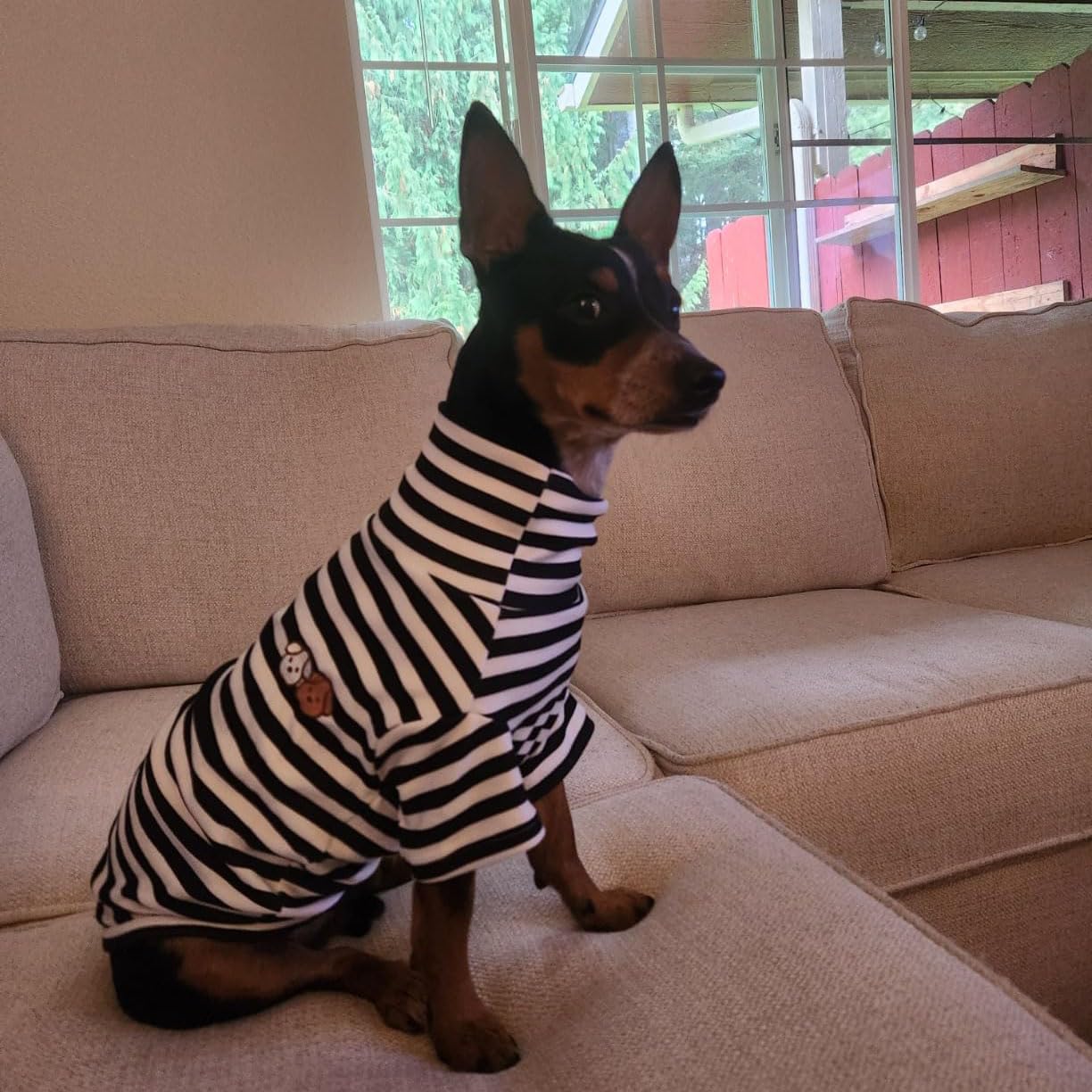 Turtleneck Dog Shirt Cute Doggie Embroidery Super Soft Dog Sweatshirt Stretchy Striped Puppy Pullover for Cats Small Medium Large Dogs (Black Striped, X-Large)