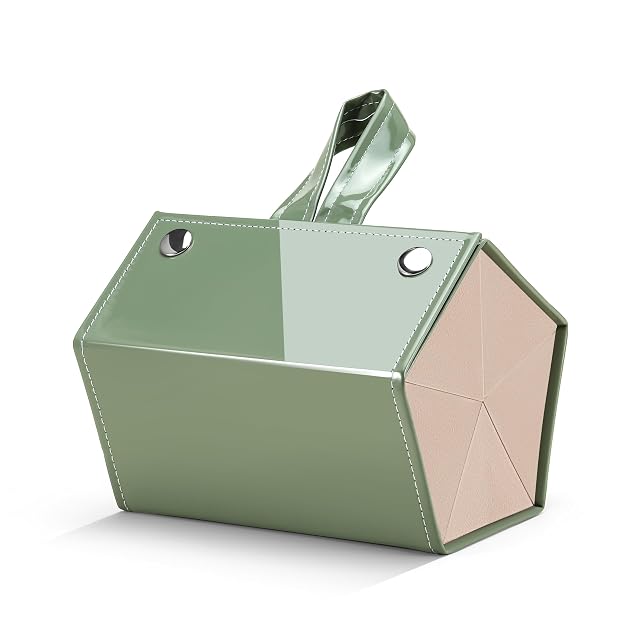 FEISEDY Sunglasses Organizer 5 Slots Travel Glasses Case Hanging Eyewear Holder Fashionable PU Leather Eyeglass Case B0087