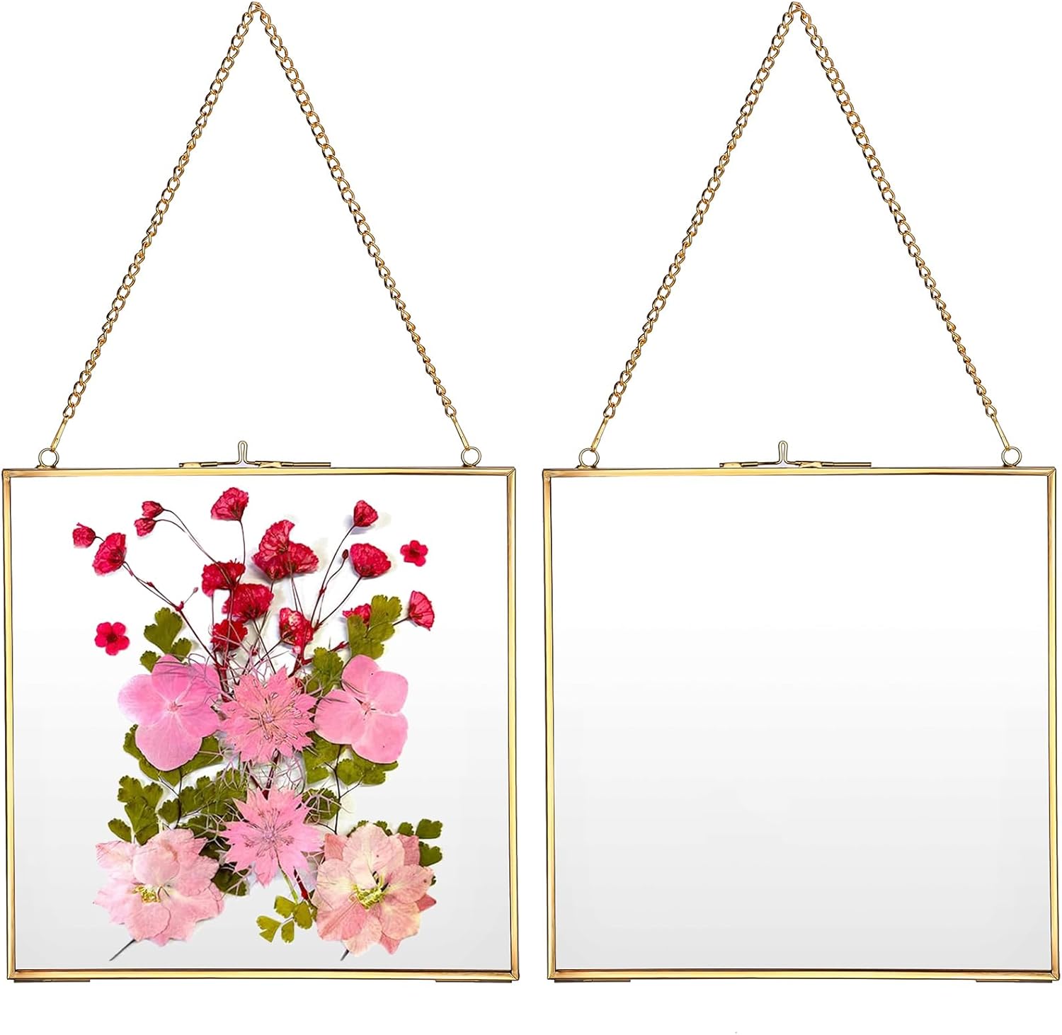 JUXYES 2 Pack Wall Hanging Brass Frame for Pressed Flowers, Glass Floating Frames for Display Dried Flowers Artwork, Double Glass Floating Style Square Gallery Wall Frame for Plants Photo Picture Poster etc, 20x20 cm