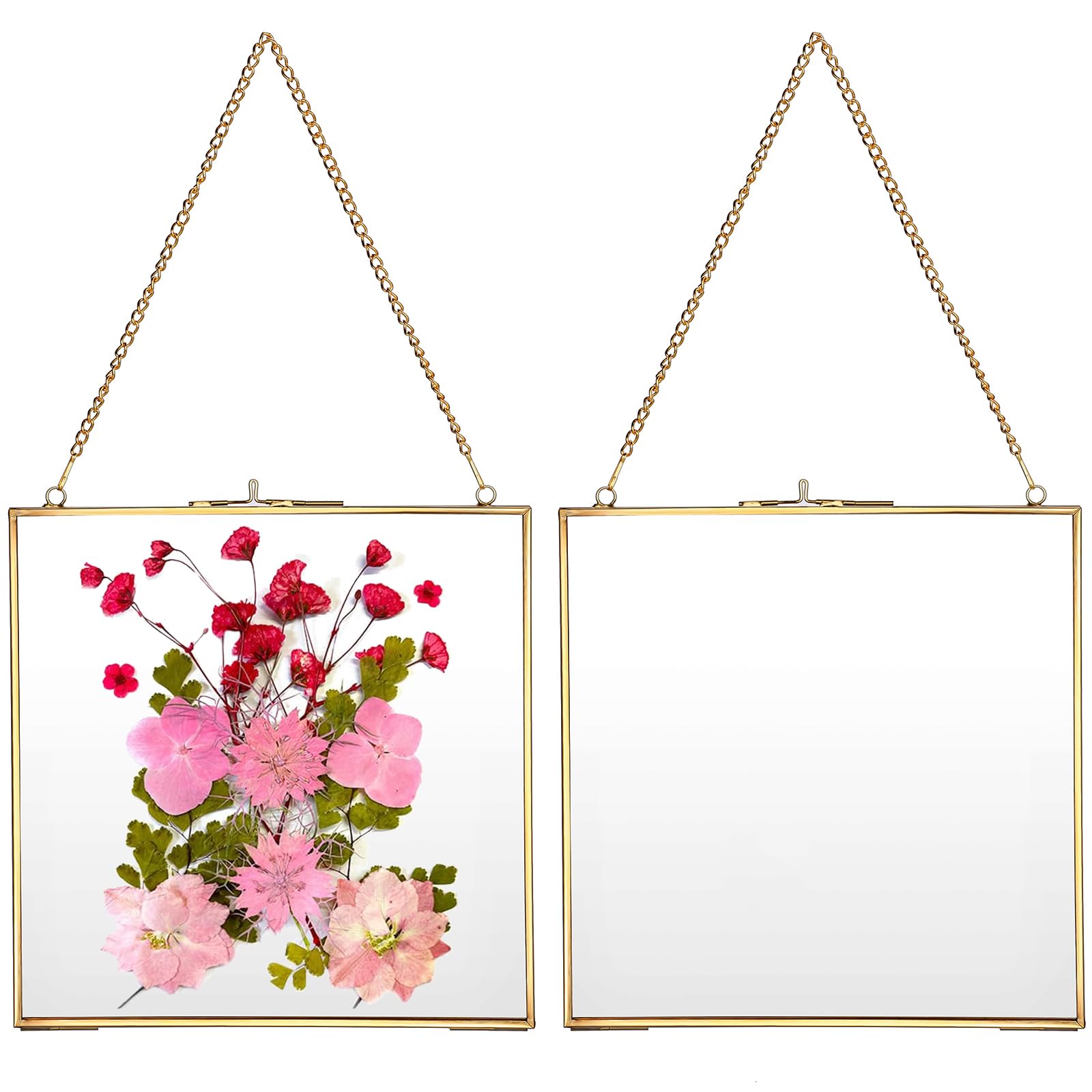 Juxyes Golden 2 Pieces Wall Hanging Brass Frame For Pressed Flowers, Glass Floating Frames For Display Dried Flowers Artwork, Double Glass Floating Style, Square Gallery Wall Frame For Plants