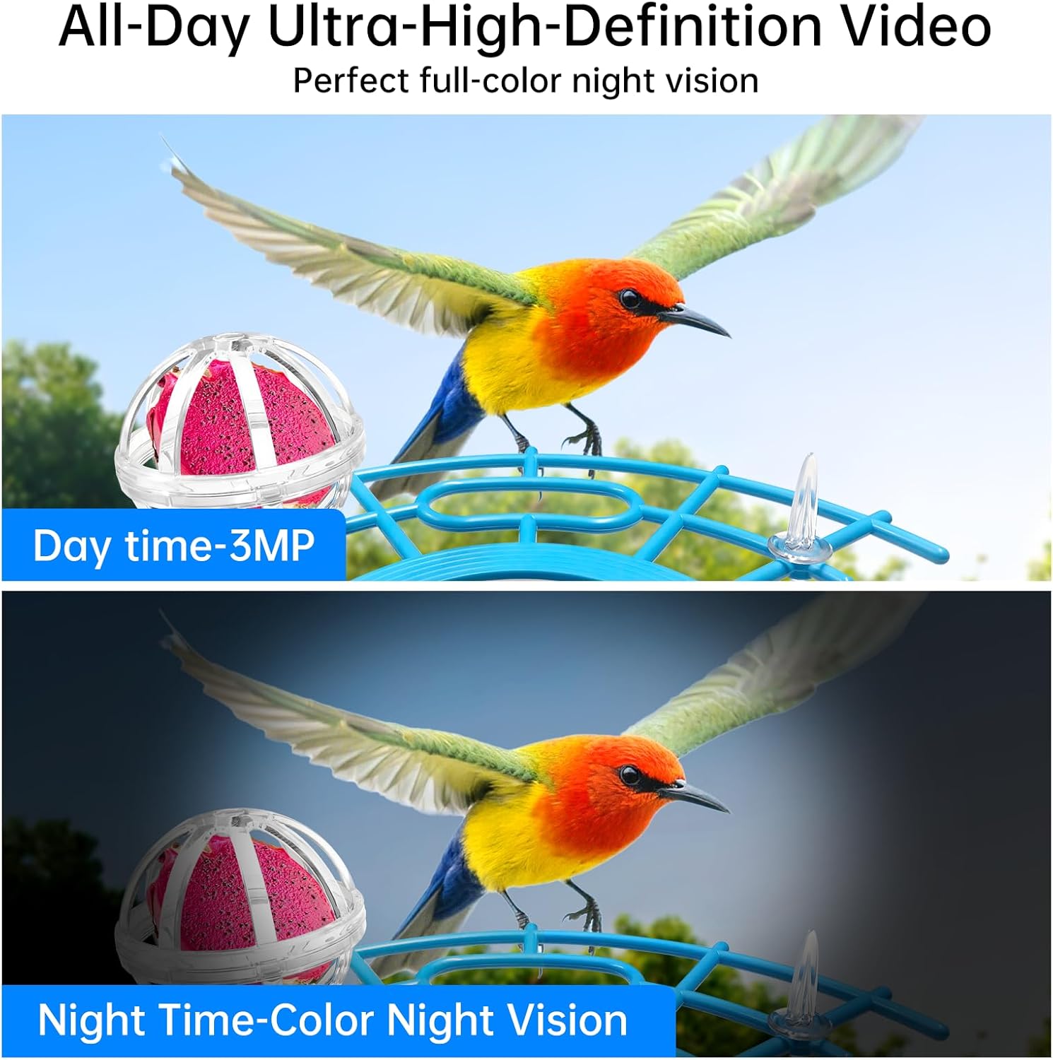 Bird Feeder with Camera, Solar-Powered, Color Night Vision, 2.4GHz WiFi, AI Smart Bird House with Cam, 2K Live View, Instant Notifications, Choice for Christmas/Parents - Image 3