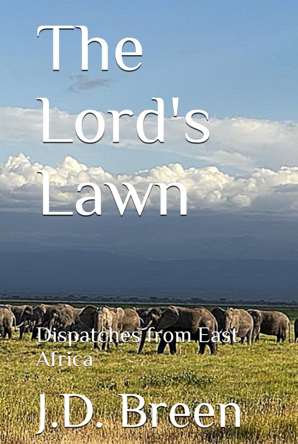 The Lord's Lawn: Dispatches from East Africa
