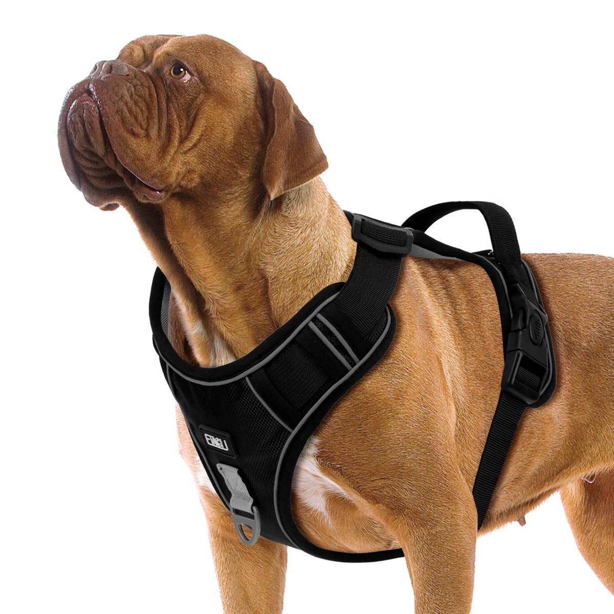ETACCU Dog Harness for Medium Size Dogs, No Pull Dog Harness with Handle, Front Clip Reflective No-Choke Adjustable Dog Chest Harness with 2 Clips 2 Buckles, Dog Vest Harness, M