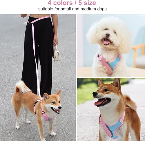 Miniatura 3 de _ Juego de arnés y correa para perros pequeños y medianos, arnés ligero y suave para cachorros, juego de arnés ajustable y reflectante para