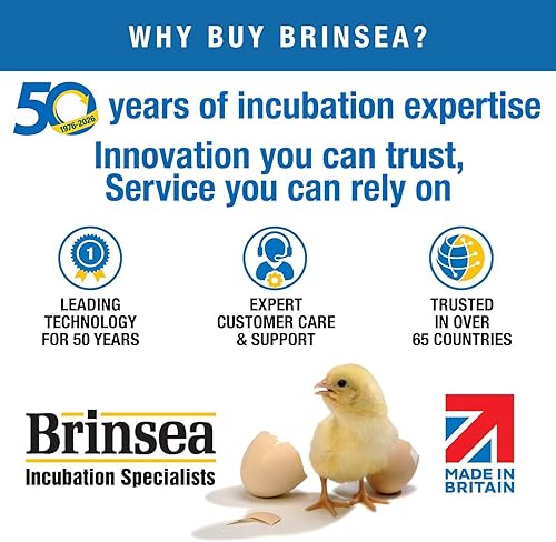 Miniatura 8 de Brinsea Incubadora de huevos Mini II Advance con giro automático de huevos y control de temperatura para incubar 7 pollo, pato u otros huevos