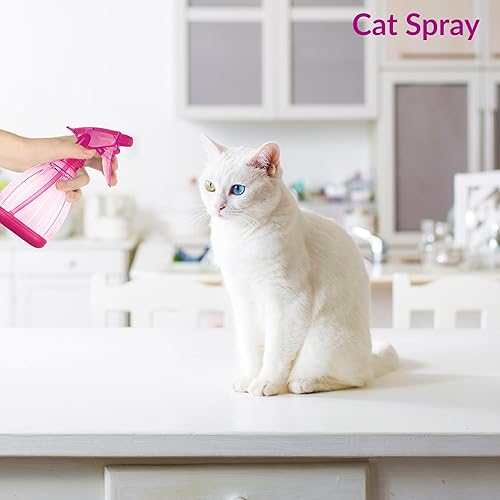 Miniatura 6 de DilaBee Botellas pulverizadoras (12 onzas) Botella de spray de agua para cabello, plantas, soluciones de limpieza, cocina, barbacoa, botella de