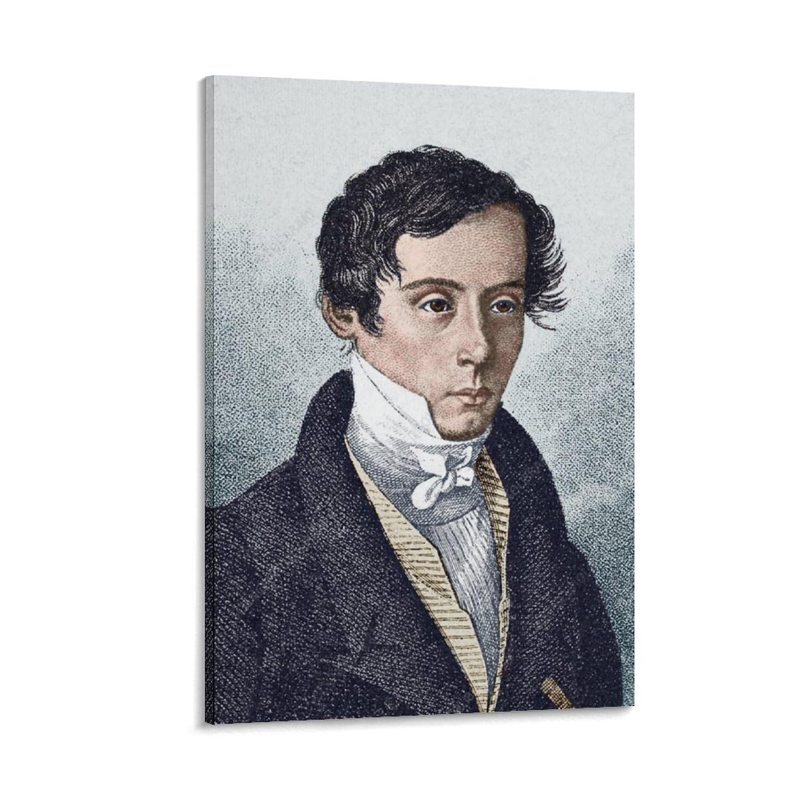 Augustin-Jean Fresnel-Poster, Gemälde, Leinwand, Wandkunst, Rollbild, Druck, Wohnzimmer, 50 x 75 cm