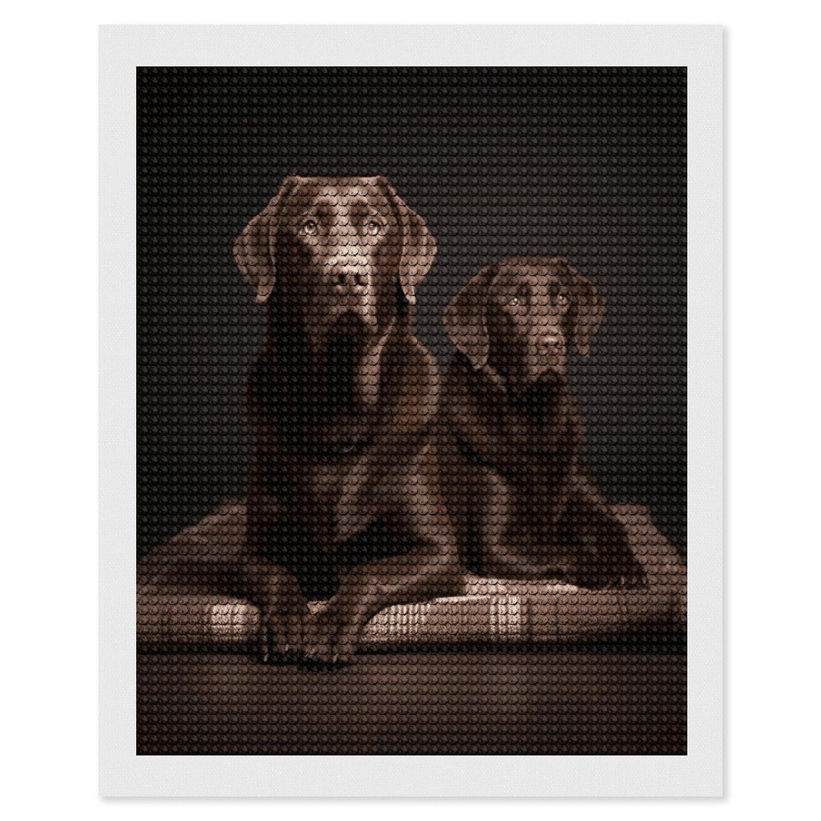 FodPand Brown Labrador Retriever Diamond Art Kits for Adults Diamond Painting Kits for Beginner 5D DIY Full Round Drill Diamond Dot Painting Gem Art Crafts for Home Wall Decor